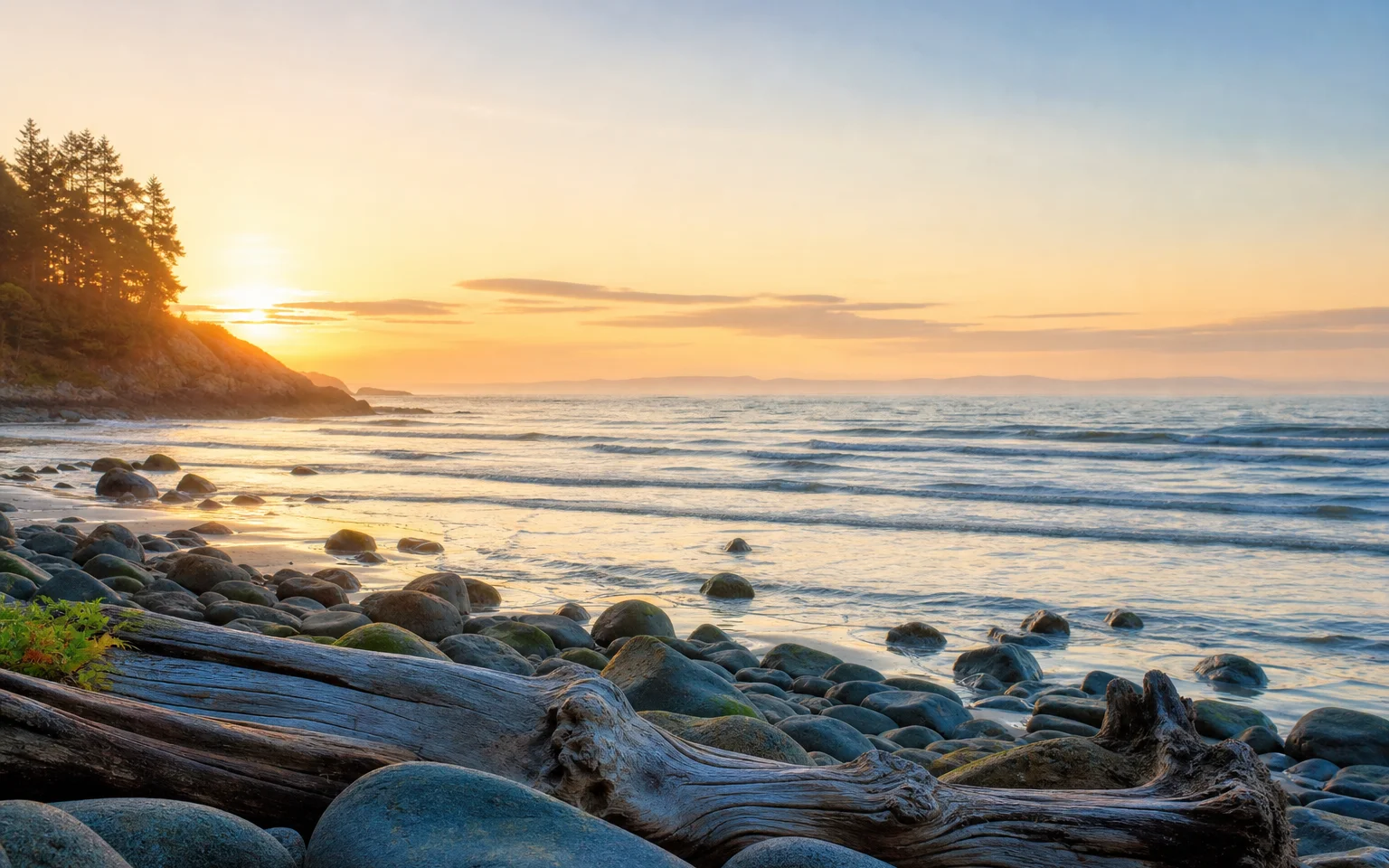 Calm shoreline waves symbolizing breath, deep core connection, and nervous system regulation